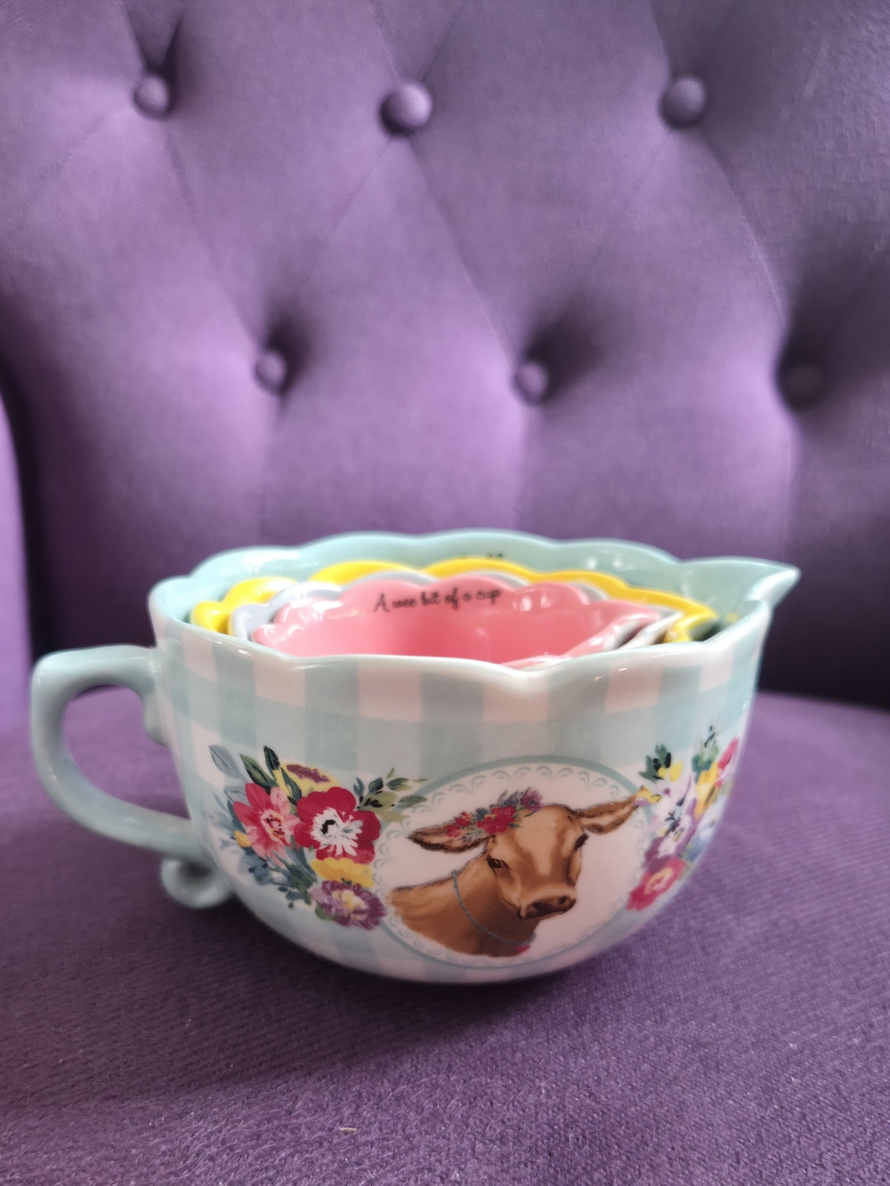 Pioneer Ceramic Nesting Measuring Bowl Cups Set of 4